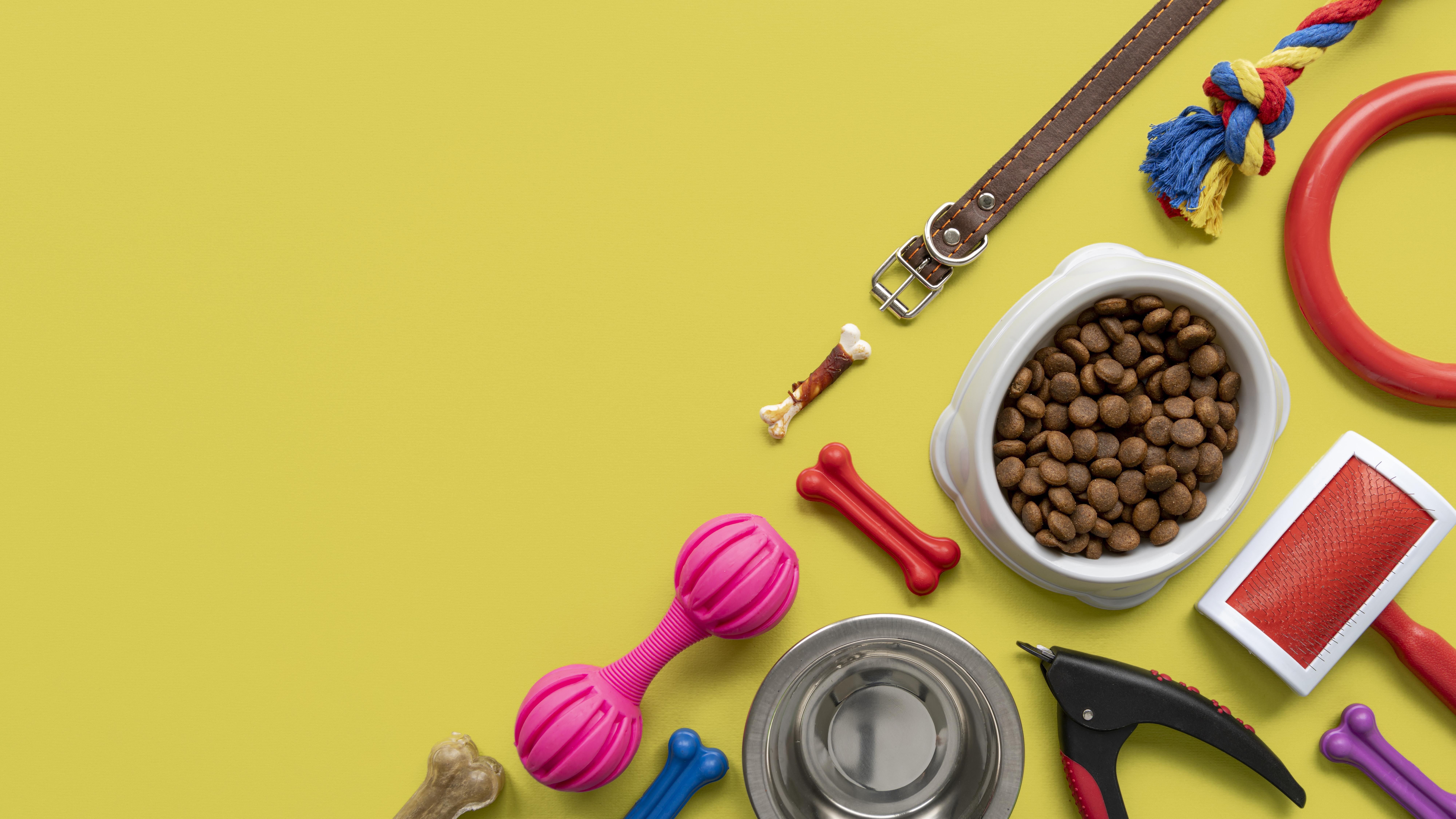 Cat Toys